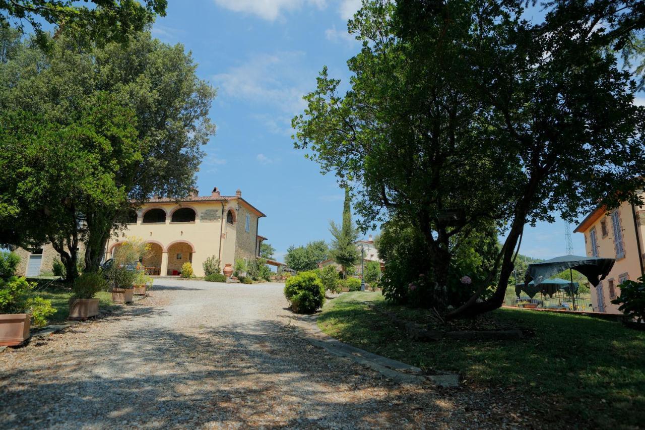 Maison d'hôtes Natouroasi Agriturismo à Monte San Savino Extérieur photo