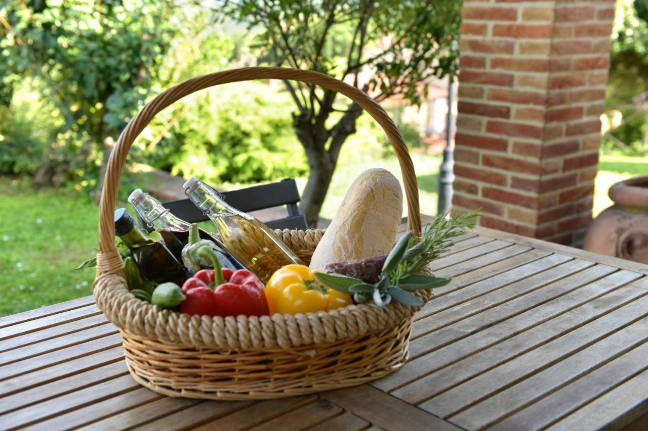 Maison d'hôtes Natouroasi Agriturismo à Monte San Savino Extérieur photo